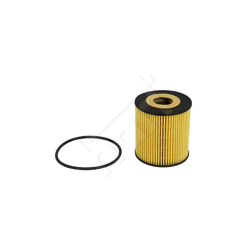 Oljefilter Valeo (Insatsfilter) Oljefilter Valeo (Insatsfilter)